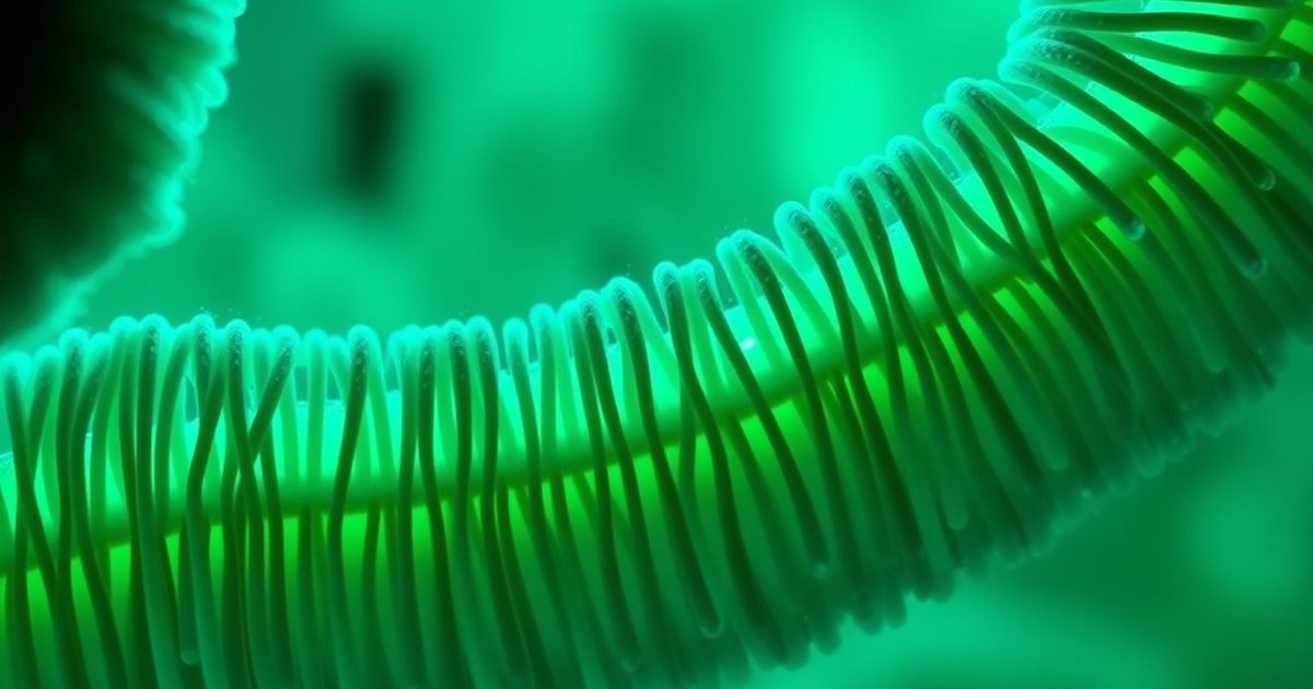 What Clinicians and Patients Should Know Before Supplementing - Akkermansia muciniphilaHub